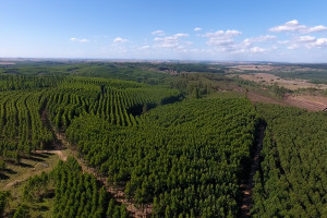 ALTO 360.00_04_25_06.Quadro002_acd00d201767e811621b7186d82f04736858e192.jpg